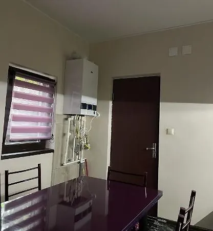 Stelian House