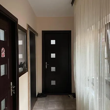 Stelian House *